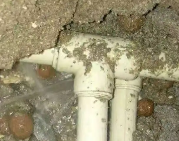 秀屿测漏水多少钱