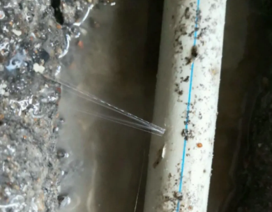 秀屿测漏水哪家好