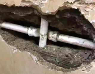 秀屿测漏水哪家好