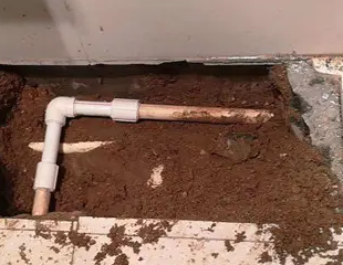 秀屿测漏水哪家好