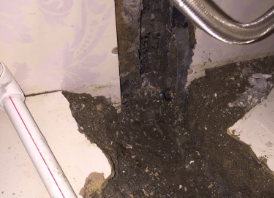 秀屿卫生间测漏水哪家好