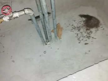 秀屿卫生间测漏水价格明细