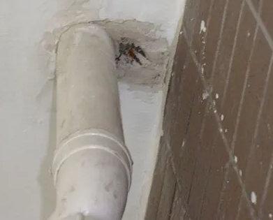 秀屿漏水检测哪家好